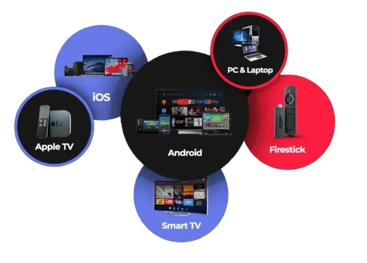 Seamless Compatibility Across All Devices